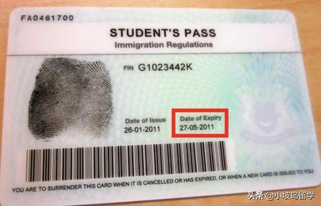 新加坡毕业后学生签证即将到期的我该何去何从？