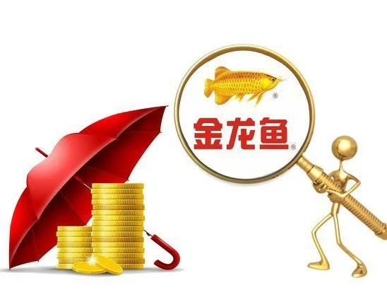 一天到晚游泳的鱼不停游——金龙鱼