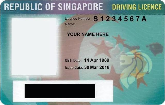 在新加坡提交的官方文件，有什么要求？