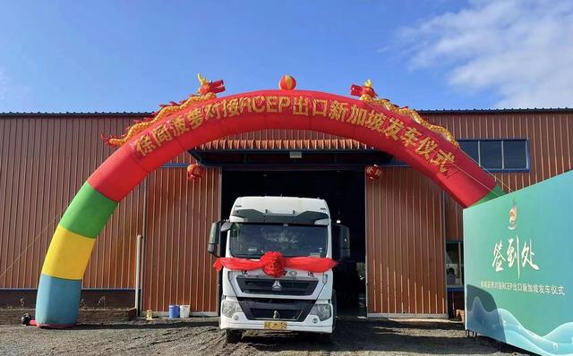 目的地：新加坡！“仲恺科技”助力徐闻菠萝香飘四海
