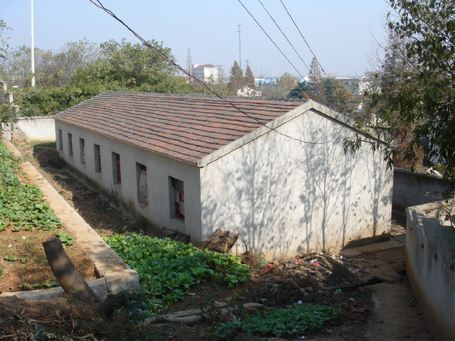 一所“村小”的逆袭：“支教”城里孩子，“代培”海外教师