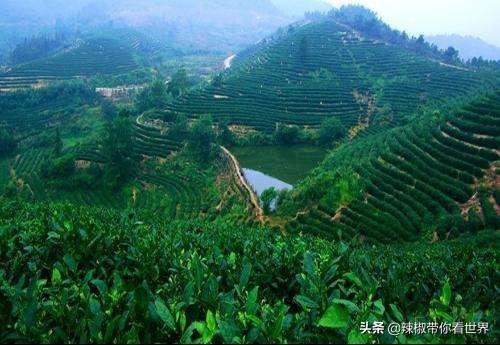 北纬三十度：孝感—因董永行孝感天动地而得名 楚文化重要发祥地