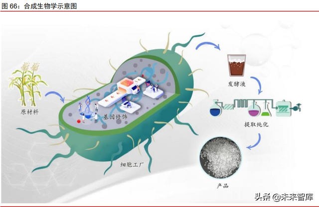 美妆及化妆品原料行业深度专题：原料江湖，谁主沉浮（下）