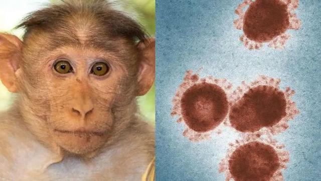 【卫生检疫】海关提醒 | 注意！亚洲已出现猴痘病例