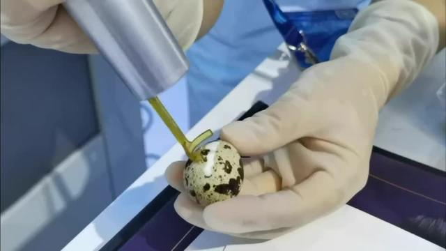 黑斑“消失术”、 AI健康眼底相机、助浴快车3.0版……打卡西洽会大健康产业馆