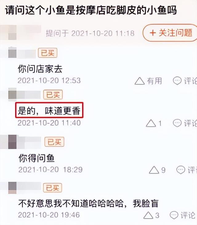 你吃的小鱼干，是足疗店退休的小鱼吗？