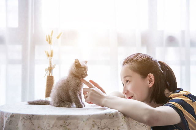“撸猫”“撸狗”有益身心健康，是真的吗？