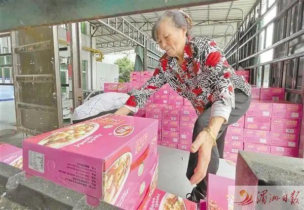 筑牢食安防线 赋能产业发展——仙游县两手抓两手硬力夺“双胜利”
