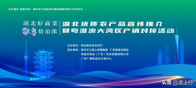 湖北好蔬菜 鄂粤情谊浓丨“藕”遇楚地汉水 沁润万家舌尖