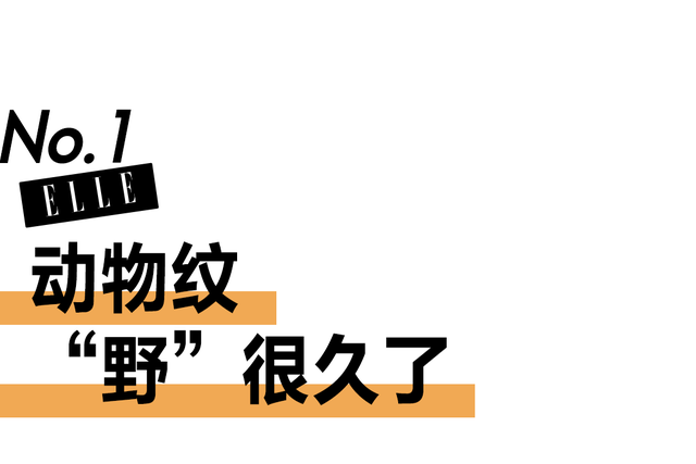 宋智雅的野心，全穿在她身上了